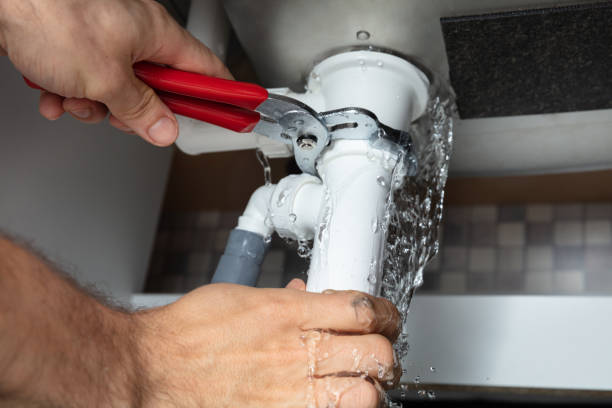 Best Commercial water damage restoration  in Cannon Falls, MN