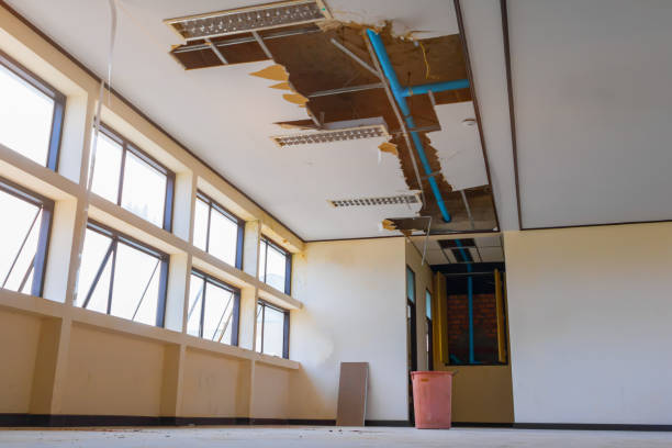Best Emergency water damage restoration  in Cannon Falls, MN