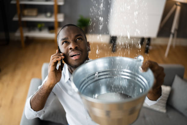 Best Basement water damage restoration  in Cannon Falls, MN