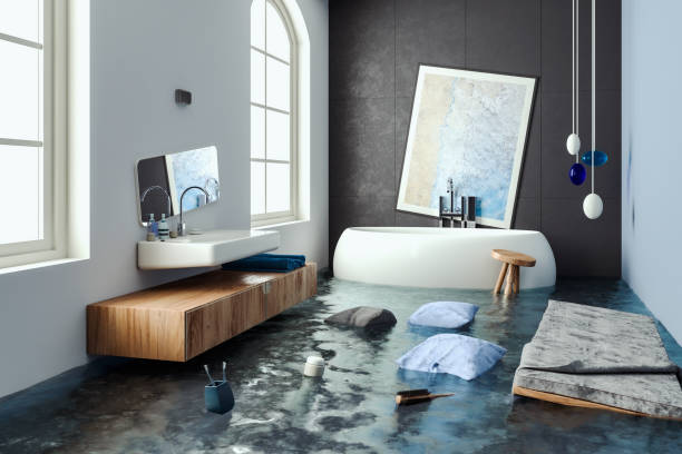 Best Basement water damage restoration  in Cannon Falls, MN