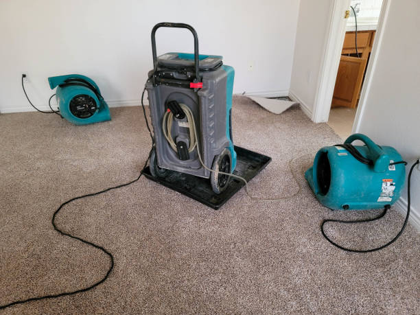 Best Emergency water damage restoration  in Cannon Falls, MN