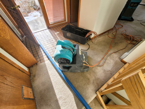Best Water damage restoration near me  in Cannon Falls, MN