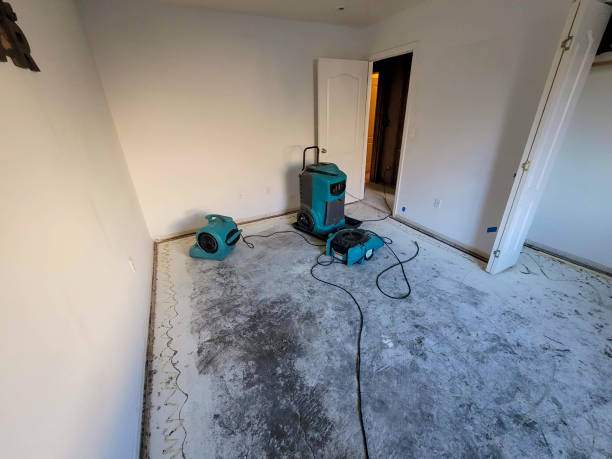 Trusted Cannon Falls, MN Water damage restoration Experts