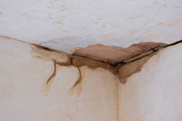 Best Water damage restoration company  in Cannon Falls, MN