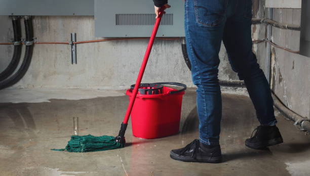 Best Flood damage cleanup  in Cannon Falls, MN
