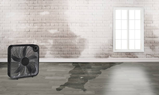  Cannon Falls, MN Water damage restoration Pros