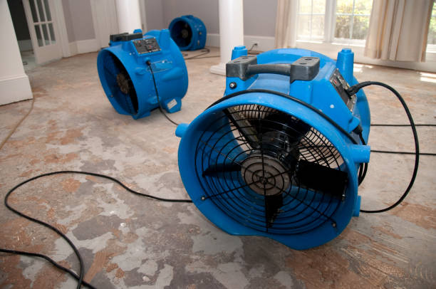 Best Water damage restoration near me  in Cannon Falls, MN