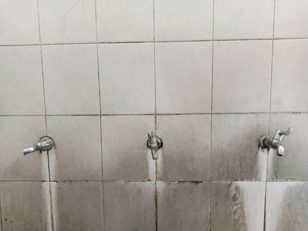 Best Water damage contractors near me  in Cannon Falls, MN