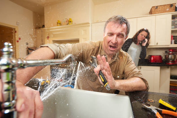 Best Sewage cleanup and water damage restoration  in Cannon Falls, MN